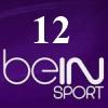 بي ان سبورت اتش دي 12 بث مباشر  - beIN Sports HD 12 live